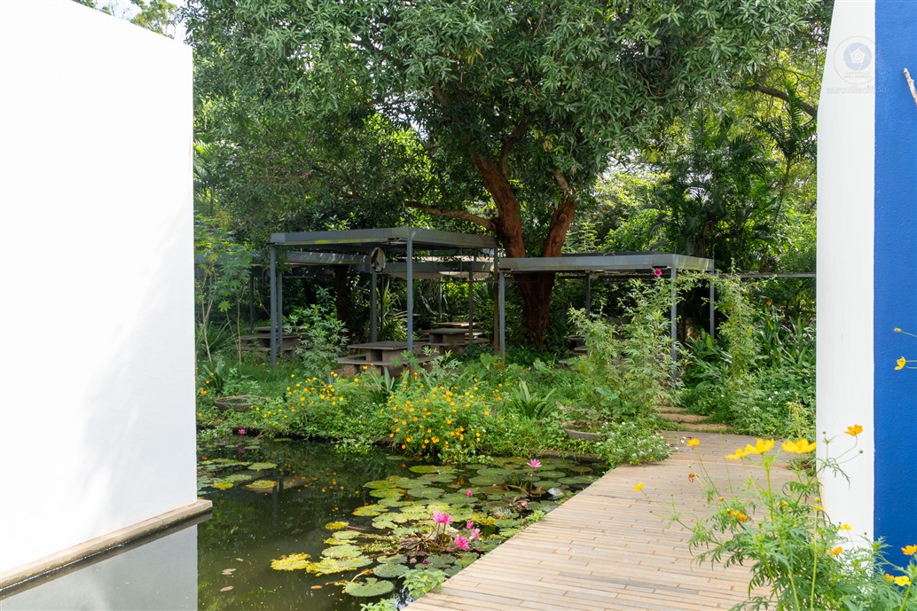 Auroville Media Interface (AMI)