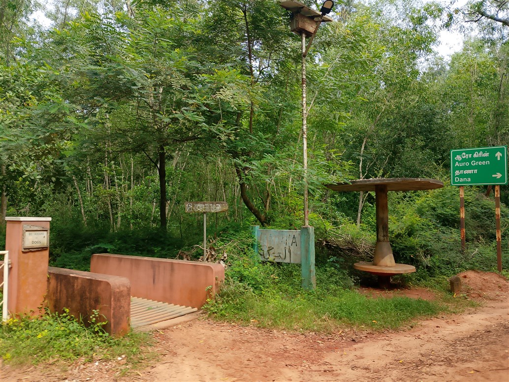 Photo by Web Services Team